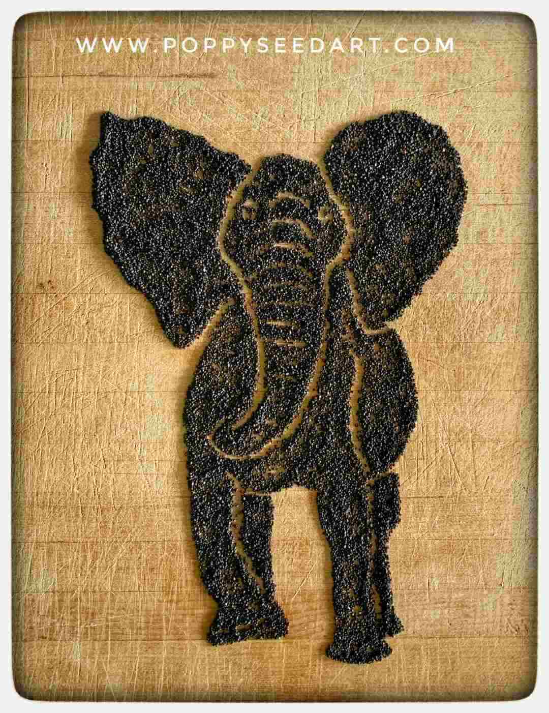 Poppy Seed Art