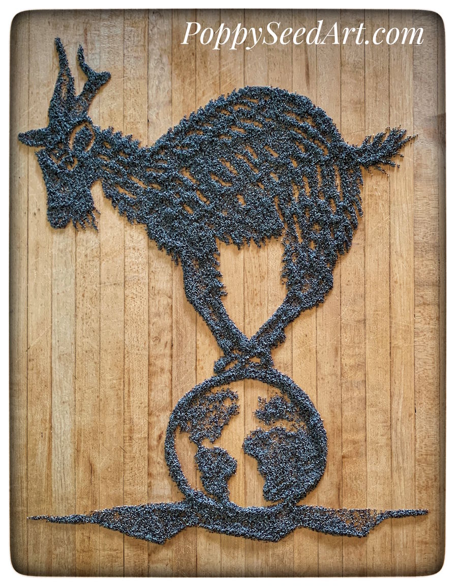 Poppy Seed Art