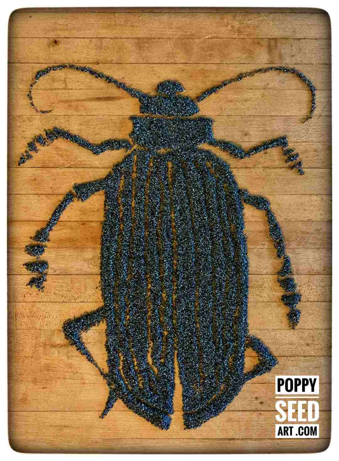 Poppy Seed Art