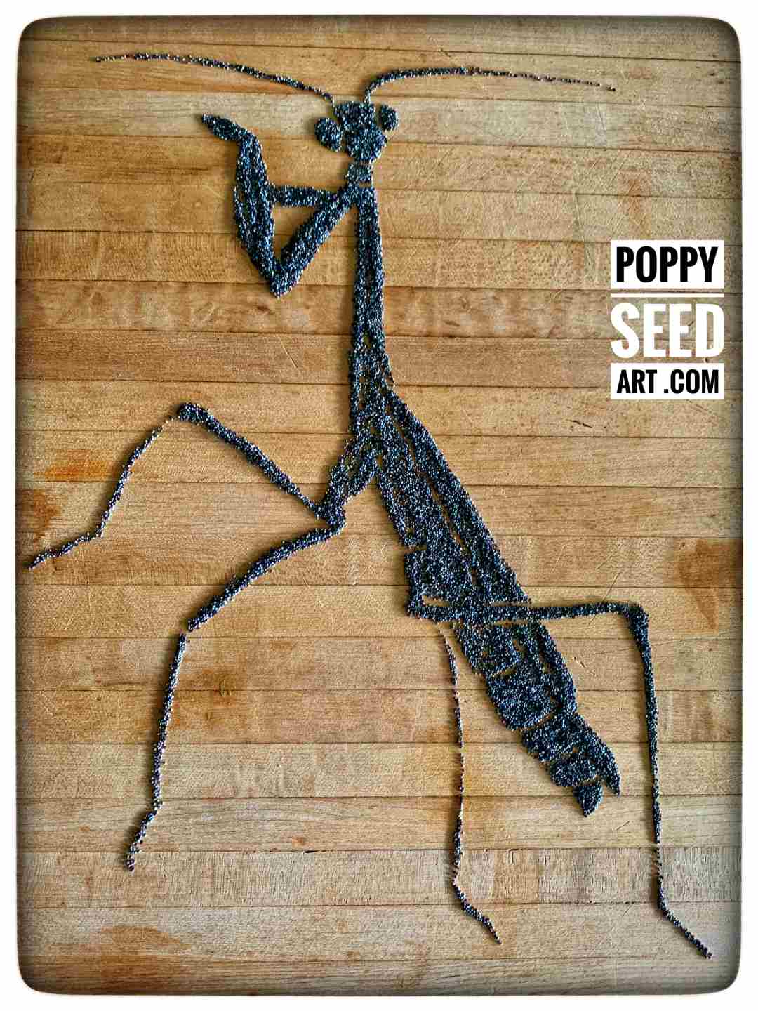 Poppy Seed Art