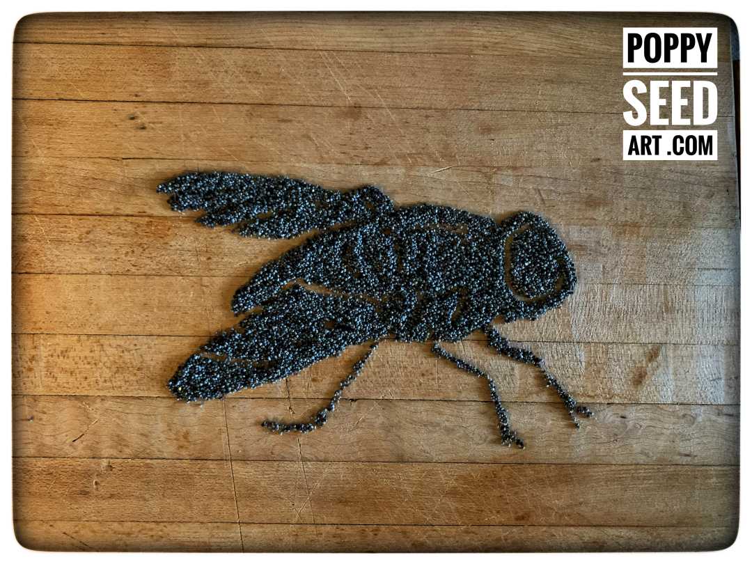 Poppy Seed Art