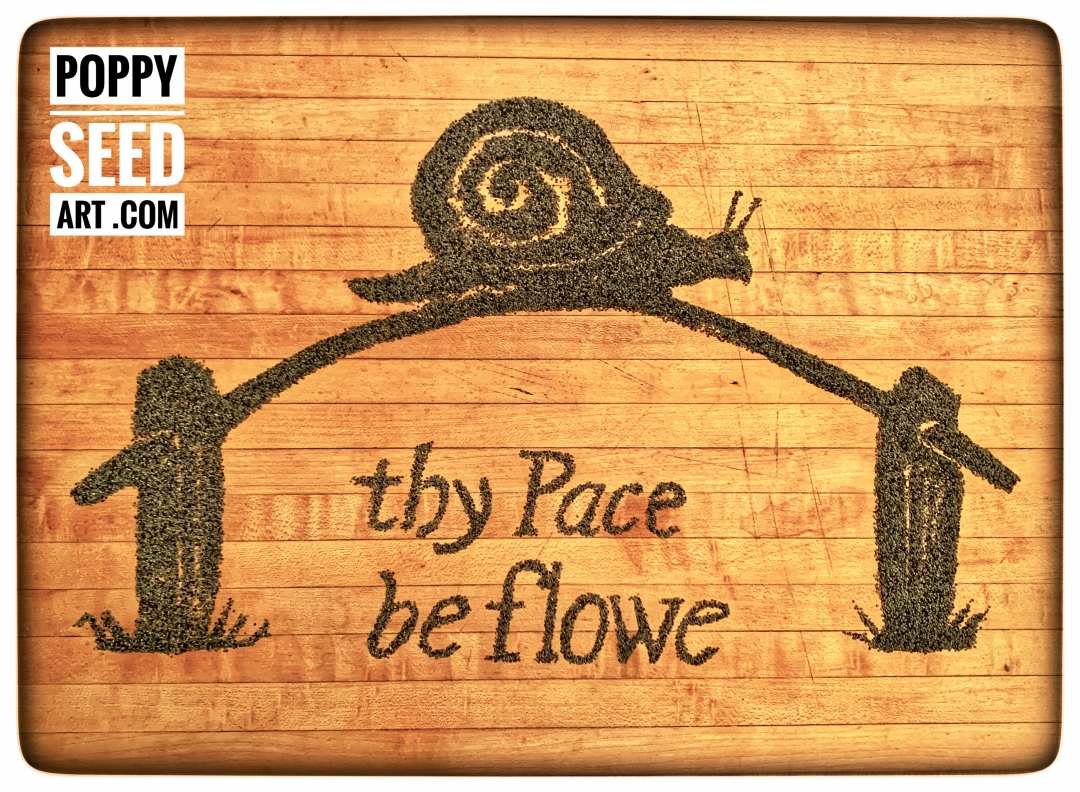 Poppy Seed Art