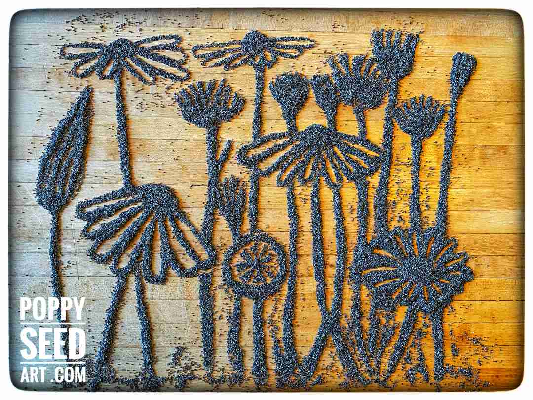 Poppy Seed Art