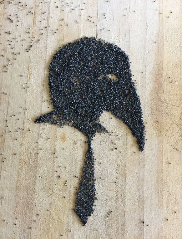 Poppy Seed Art