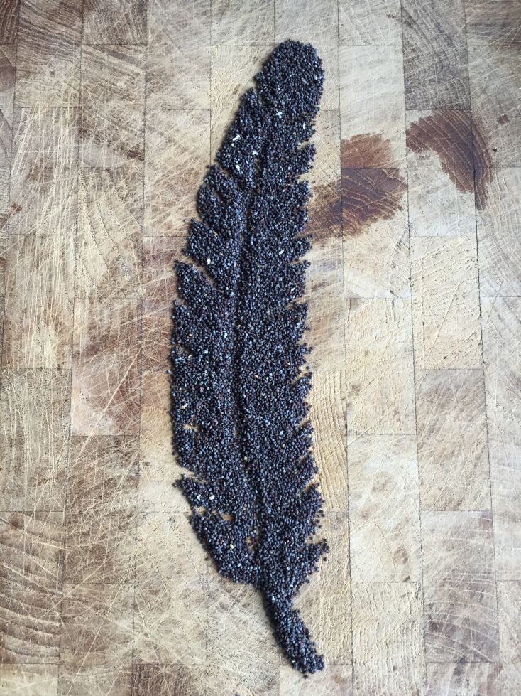 Poppy Seed Art Feather