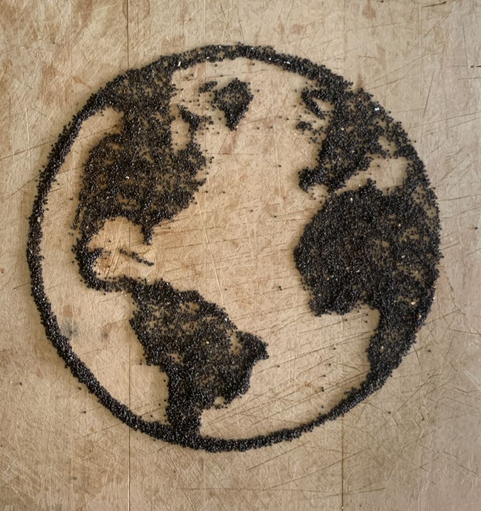 Poppy Seed Art