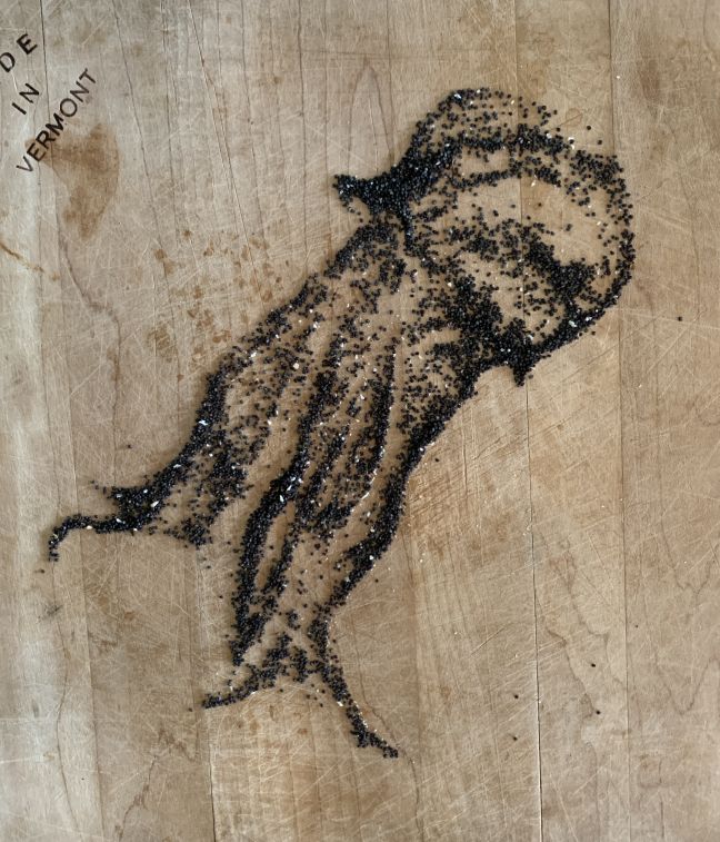 Poppy Seed Art