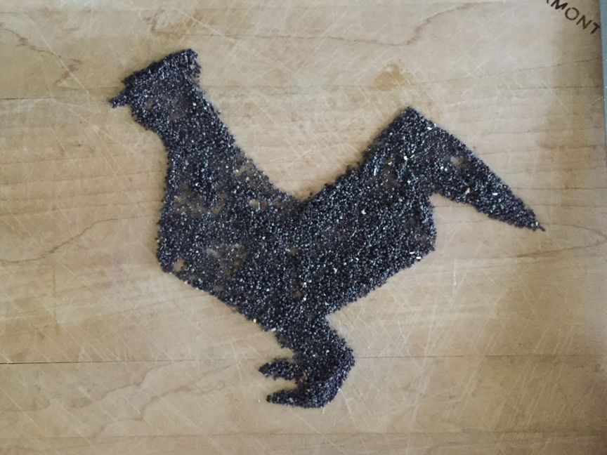 Poppy Seed Art