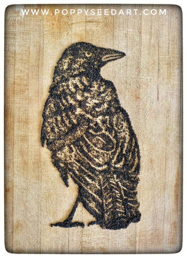 Poppy Seed Art